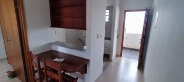 imagem 5 - Apartamento - Padrão imagem 5 - Apartamento - Padrão