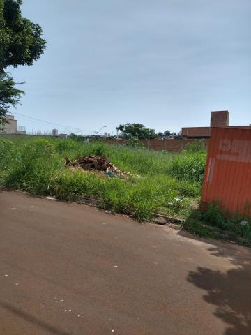 imagem 2 - Terreno - Padrão imagem 2 - Terreno - Padrão