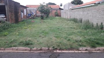 imagem 1 - Terreno - Padrão imagem 1 - Terreno - Padrão