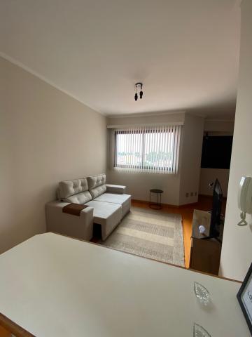 imagem 3 - Apartamento com 1 dormitório no Jardim São Carlos próximo a Paróquia São Judas Tadeu em São Carlos imagem 3 - Apartamento com 1 dormitório no Jardim São Carlos próximo a Paróquia São Judas Tadeu em São Carlos