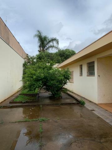 imagem 5 - Casa - Padrão imagem 5 - Casa - Padrão