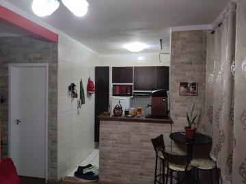 imagem 4 - Apartamento - Padrão imagem 4 - Apartamento - Padrão