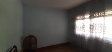 imagem 5 - Casa - Padrão imagem 5 - Casa - Padrão