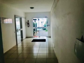 imagem 3 - Apartamento - Padrão imagem 3 - Apartamento - Padrão