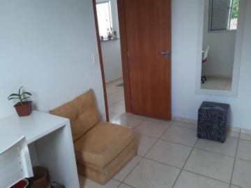 imagem 5 - Apartamento - Padrão imagem 5 - Apartamento - Padrão