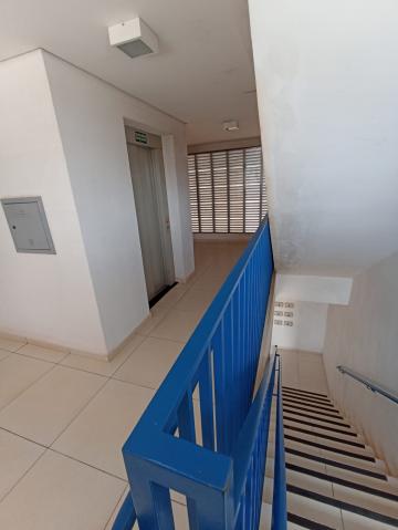 imagem 2 - Apartamento - Padrão imagem 2 - Apartamento - Padrão