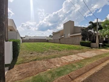 Alugar Terreno / Condomínio em Araraquara. apenas R$ 905.000,00