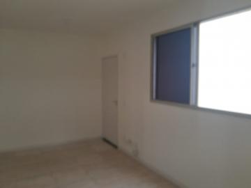 imagem 5 - Apartamento - Padrão imagem 5 - Apartamento - Padrão