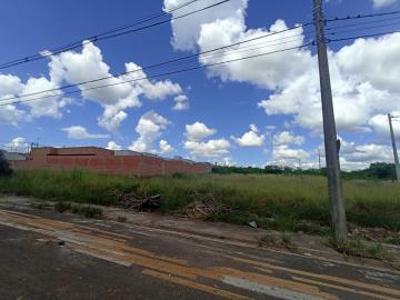 imagem 3 - Terreno - Padrão imagem 3 - Terreno - Padrão