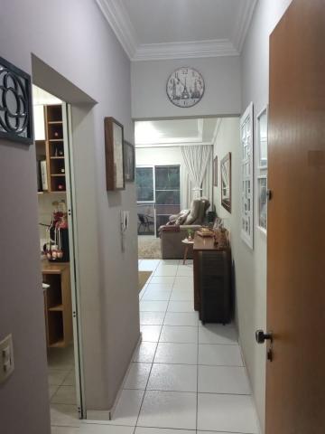 imagem 3 - Apartamento - Padrão imagem 3 - Apartamento - Padrão