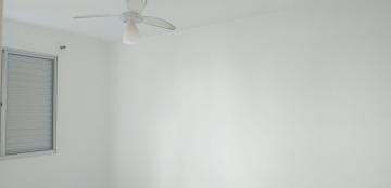 imagem 5 - Apartamento - Padrão imagem 5 - Apartamento - Padrão
