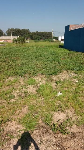 imagem 3 - Terreno - Padrão imagem 3 - Terreno - Padrão