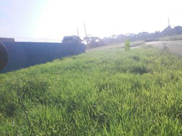 imagem 2 - Terreno - Padrão imagem 2 - Terreno - Padrão