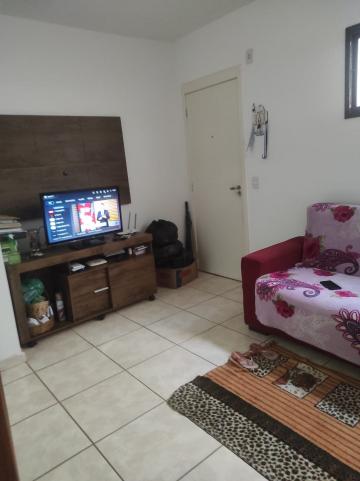 imagem 1 - Apartamento - Padrão imagem 1 - Apartamento - Padrão