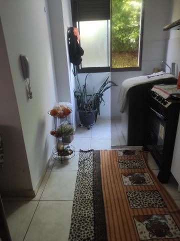 imagem 3 - Apartamento - Padrão imagem 3 - Apartamento - Padrão