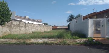 imagem 2 - Terreno - Padrão imagem 2 - Terreno - Padrão