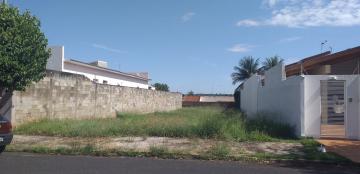 imagem 3 - Terreno - Padrão imagem 3 - Terreno - Padrão