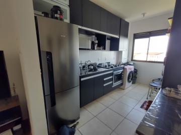 imagem 3 - Apartamento - Padrão imagem 3 - Apartamento - Padrão