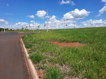imagem 1 - Terreno - Área imagem 1 - Terreno - Área