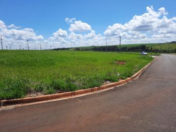 imagem 2 - Terreno - Área imagem 2 - Terreno - Área
