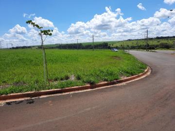 imagem 3 - Terreno - Área imagem 3 - Terreno - Área