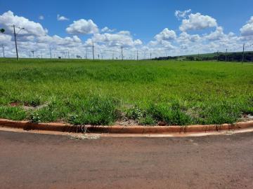 imagem 5 - Terreno - Área imagem 5 - Terreno - Área