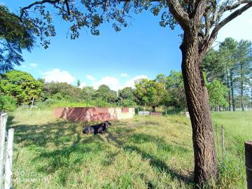 imagem 4 - Terreno - Padrão imagem 4 - Terreno - Padrão