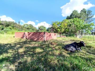 imagem 5 - Terreno - Padrão imagem 5 - Terreno - Padrão