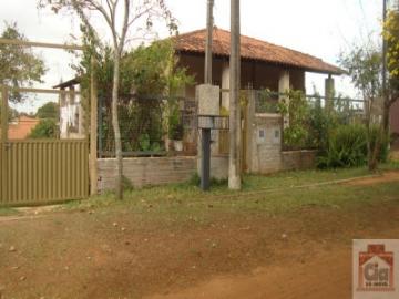 Alugar Casa / Padrão em São Carlos. apenas R$ 600.000,00