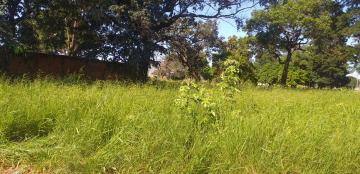 Alugar Terreno / Padrão em Araraquara. apenas R$ 100.000,00