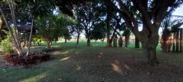 imagem 5 - Rural - Área imagem 5 - Rural - Área