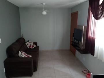 imagem 2 - Apartamento - Padrão imagem 2 - Apartamento - Padrão