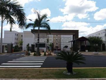 Alugar Apartamento / Padrão em São Carlos. apenas R$ 950,00