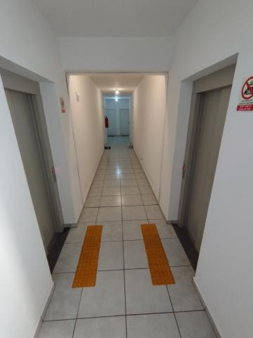 imagem 3 - Apartamento - Padrão imagem 3 - Apartamento - Padrão