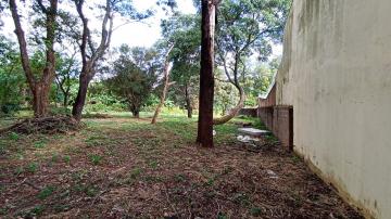 imagem 3 - Terreno - Padrão imagem 3 - Terreno - Padrão