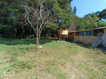 imagem 4 - Comercial - Barracão imagem 4 - Comercial - Barracão