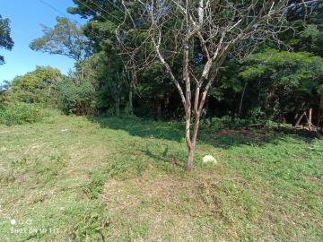 imagem 5 - Comercial - Barracão imagem 5 - Comercial - Barracão