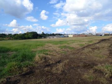 imagem 2 - Terreno - Área Urbana imagem 2 - Terreno - Área Urbana