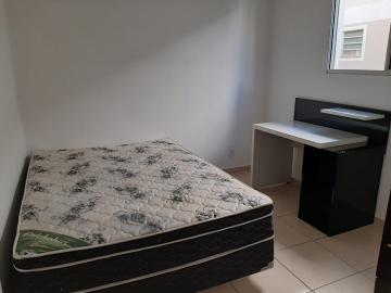 imagem 4 - Apartamento com 2 dormitórios no Jardim Nova São Carlos próximo ao Sesi em São Carlos imagem 4 - Apartamento com 2 dormitórios no Jardim Nova São Carlos próximo ao Sesi em São Carlos