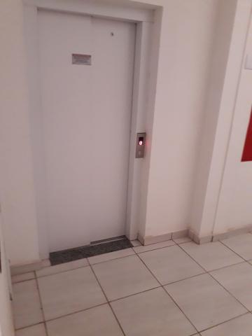 imagem 3 - Apartamento - Padrão imagem 3 - Apartamento - Padrão