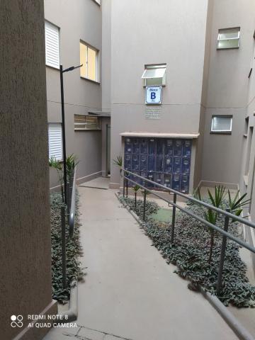 imagem 3 - Apartamento - Padrão imagem 3 - Apartamento - Padrão