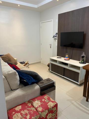 imagem 1 - Apartamento - Padrão imagem 1 - Apartamento - Padrão