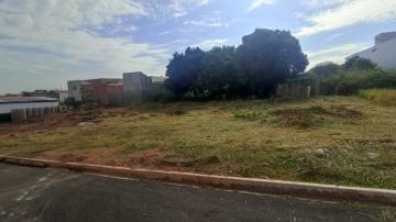imagem 2 - Terreno - Padrão imagem 2 - Terreno - Padrão