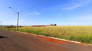 imagem 1 - Terreno - Padrão imagem 1 - Terreno - Padrão