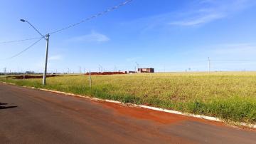 imagem 3 - Terreno - Padrão imagem 3 - Terreno - Padrão