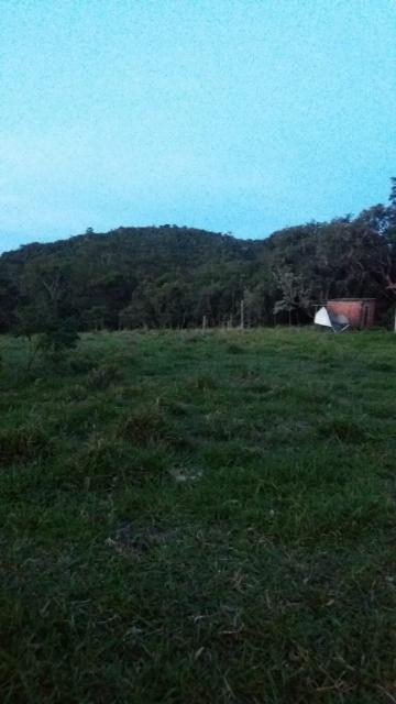 imagem 3 - Rural - Sítio imagem 3 - Rural - Sítio