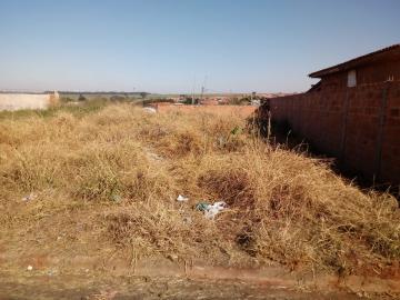 Alugar Terreno / Padrão em Araraquara. apenas R$ 96.000,00