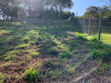 imagem 3 - Rural - Chácara imagem 3 - Rural - Chácara