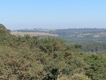 imagem 5 - Rural - Chácara imagem 5 - Rural - Chácara