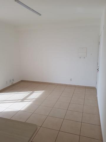 imagem 3 - Apartamento - Padrão imagem 3 - Apartamento - Padrão
